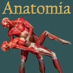 anatomia humana gratis en español android application logo